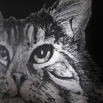 CAT detail